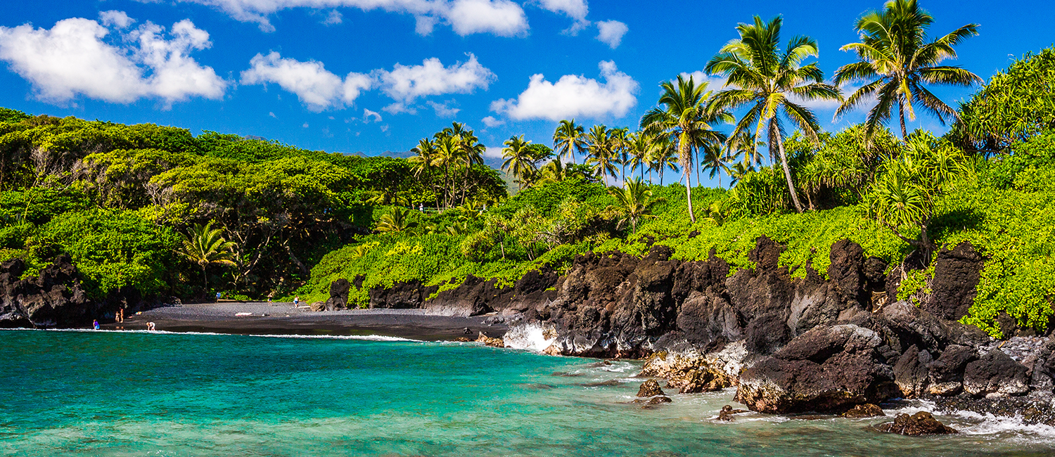 ocean beach with palm trees and rocky coast