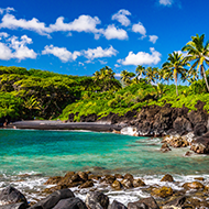 ocean beach with palm trees and rocky coast