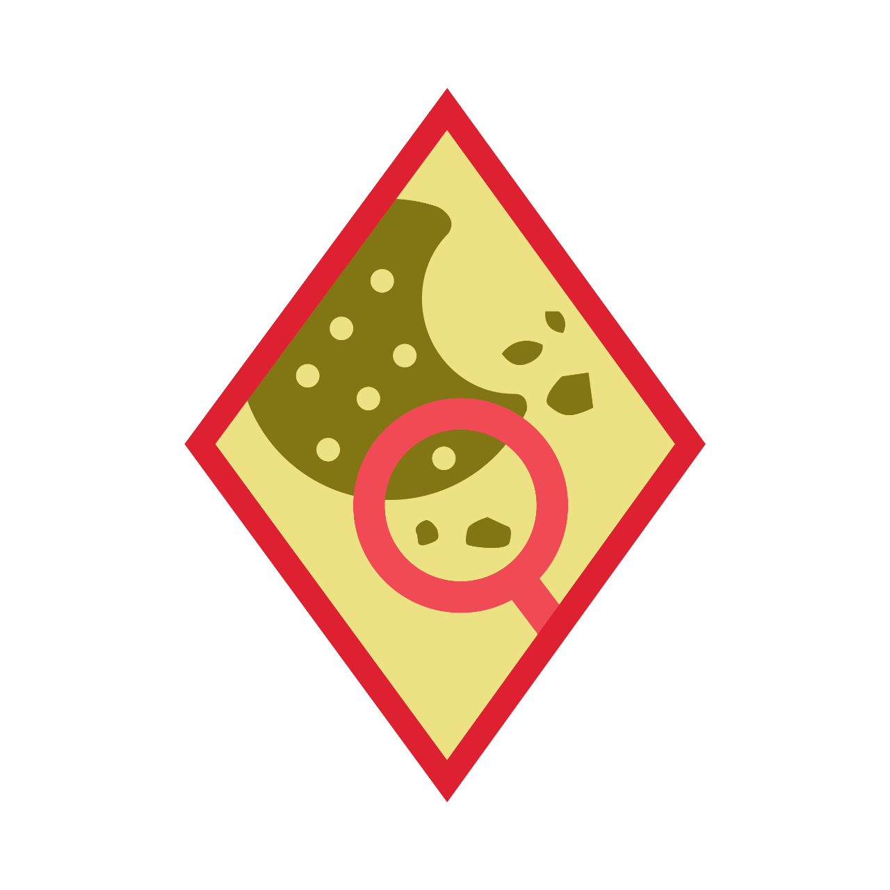 Cadette Cookie Market Researcher Badge